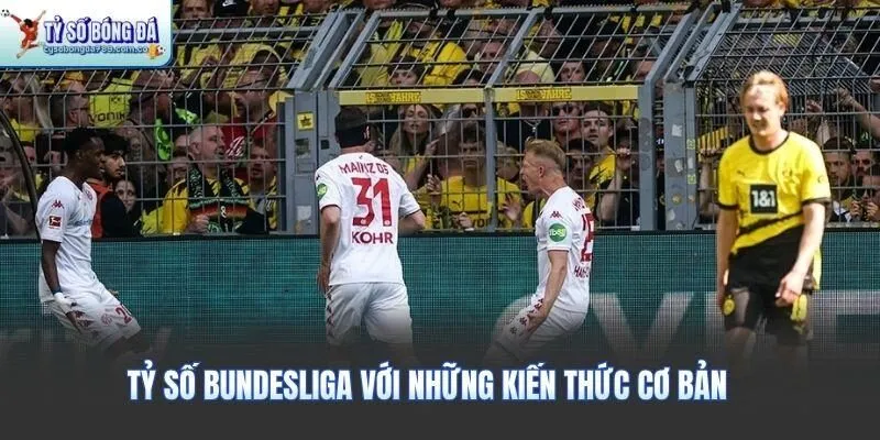 Tỷ số Bundesliga với những kiến thức cơ bản