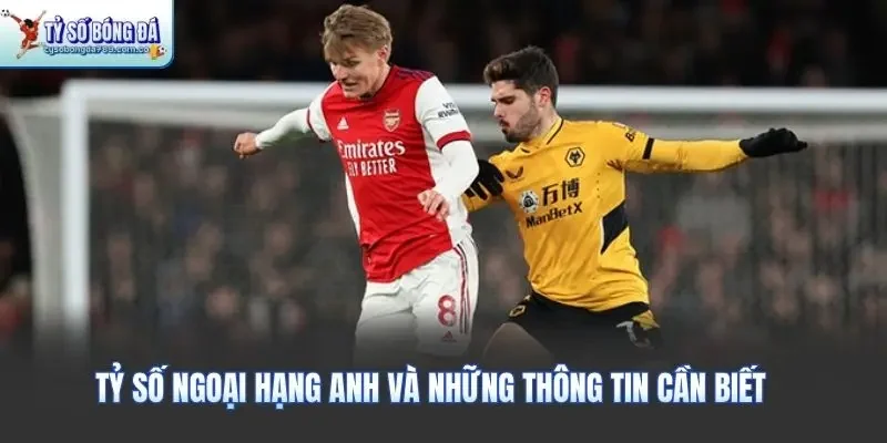 Tỷ số ngoại hạng anh và những thông tin cần biết