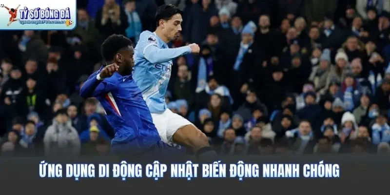 Ứng dụng di động cập nhật biến động nhanh chóng